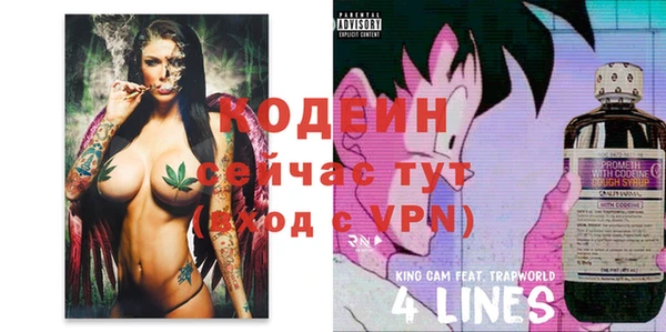 таблы Лабытнанги