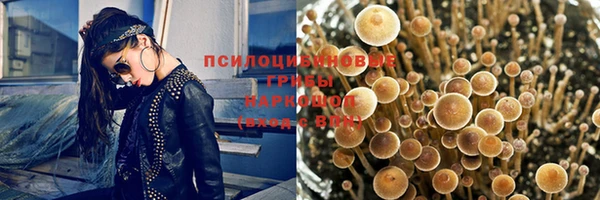 скорость Липки