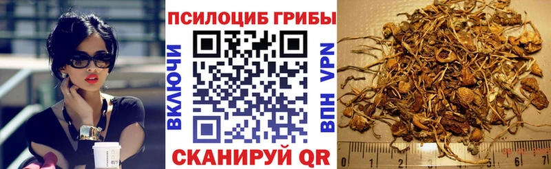 Купить  Починок  Псилоцибиновые грибы GOLDEN TEACHER 